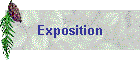 Exposition