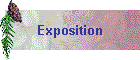 Exposition