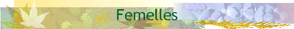 Femelles