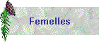 Femelles