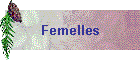 Femelles