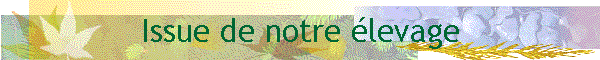Issue de notre &eacute;levage