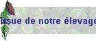Issue de notre &eacute;levage