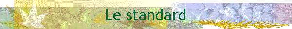 Le standard