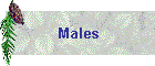 Males