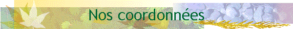 Nos coordonn&eacute;es