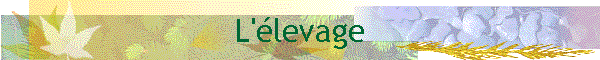L'&eacute;levage